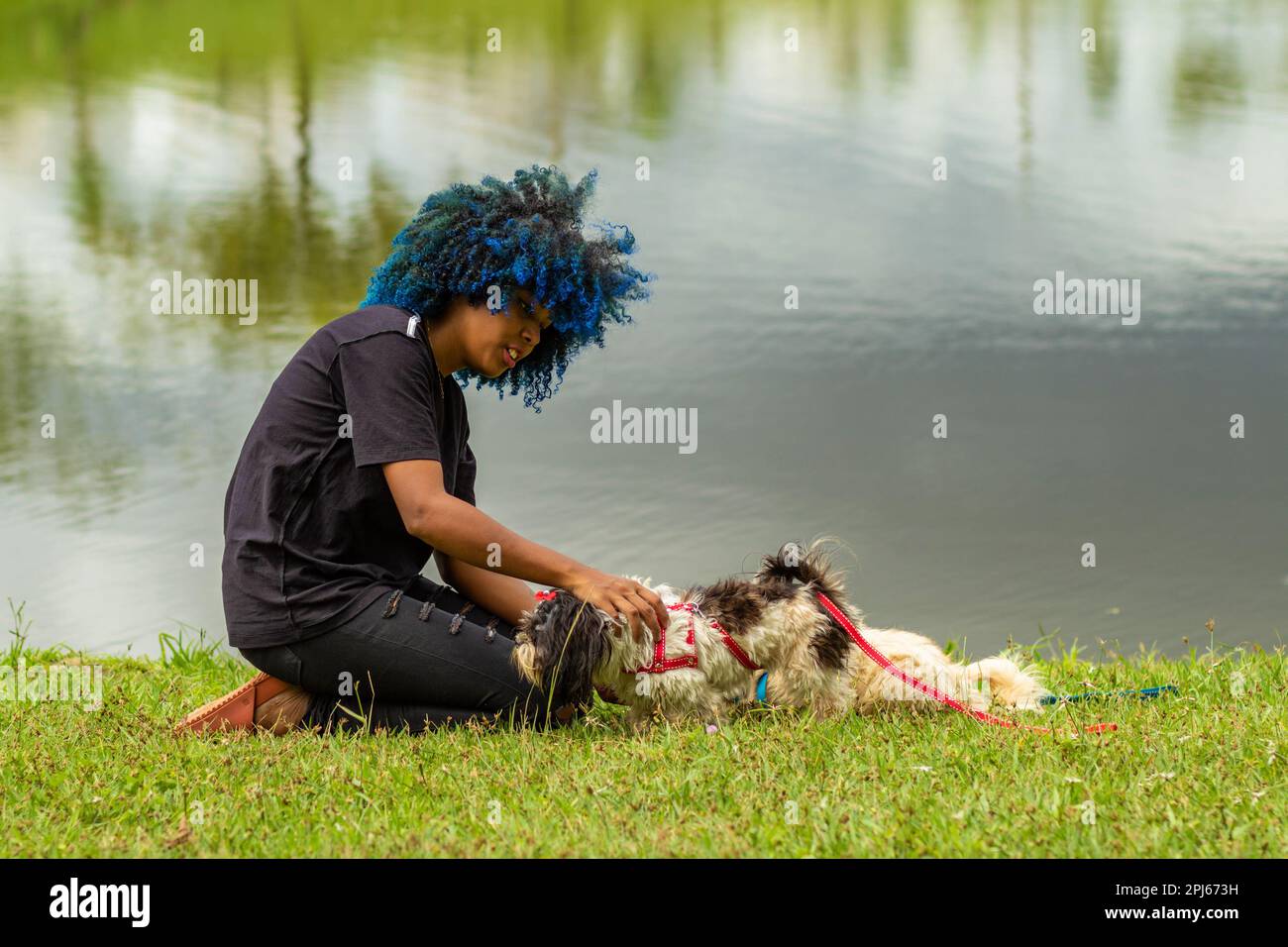 Goiania, Goias, Brasilien – 20. März 2023: Eine junge schwarze Frau mit gefärbtem blauem Haar, die auf dem Rasen sitzt und mit ihrem Hund in einem bewaldeten Park spielt. Stockfoto