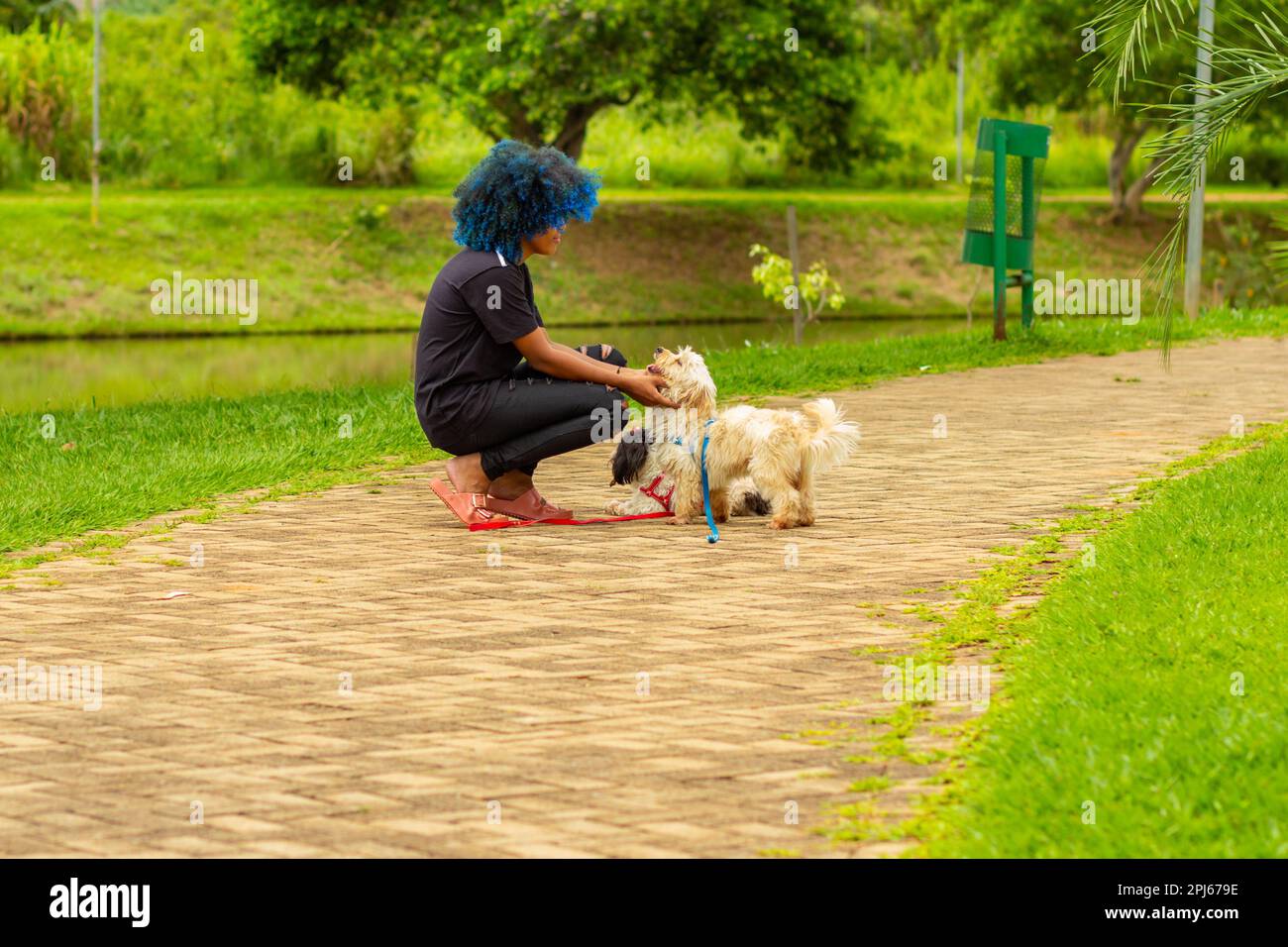Goiania, Goias, Brasilien – 20. März 2023: Eine junge schwarze Frau mit gefärbtem blauem Haar, gebeugt auf dem Boden und spielt mit ihrem Hund in einem bewaldeten Park. Stockfoto