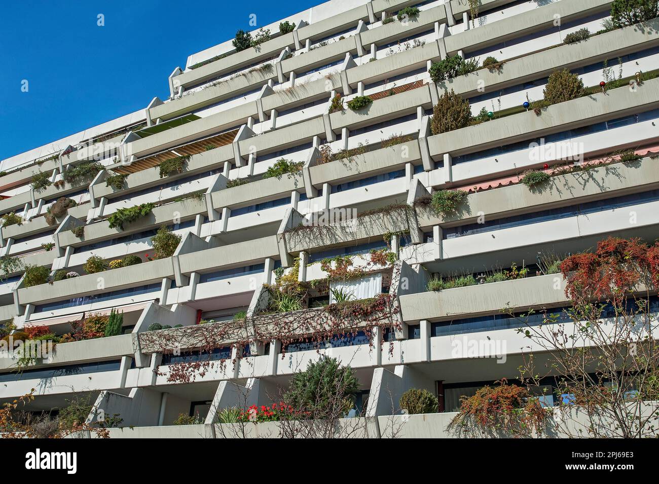 Hochhaus mit grünen Balkonen im ehemaligen Olympischen Dorf München, Bayern Stockfoto