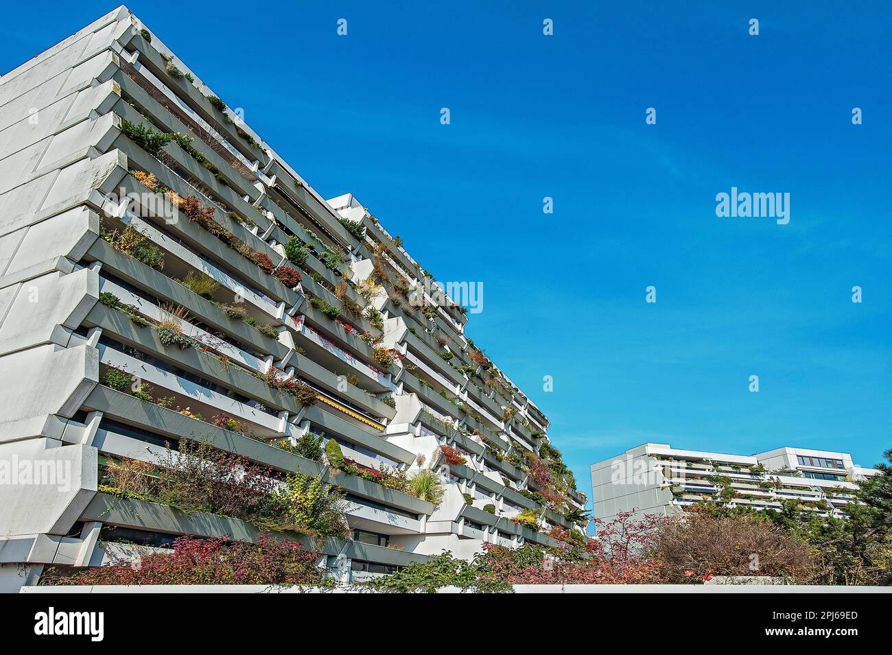 Hochhäuser mit grünen Balkonen im ehemaligen Olympischen Dorf München, Bayern Stockfoto