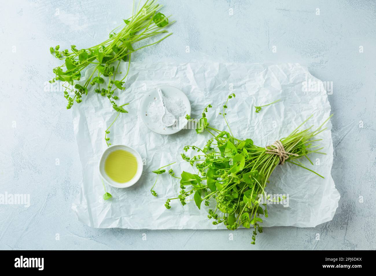 Winterportulak (Claytonia perfoliata), indischer Salat, gesundes grünes Gemüse für rohe Salate und Kochen mit Olivenöl und Salz. Stockfoto