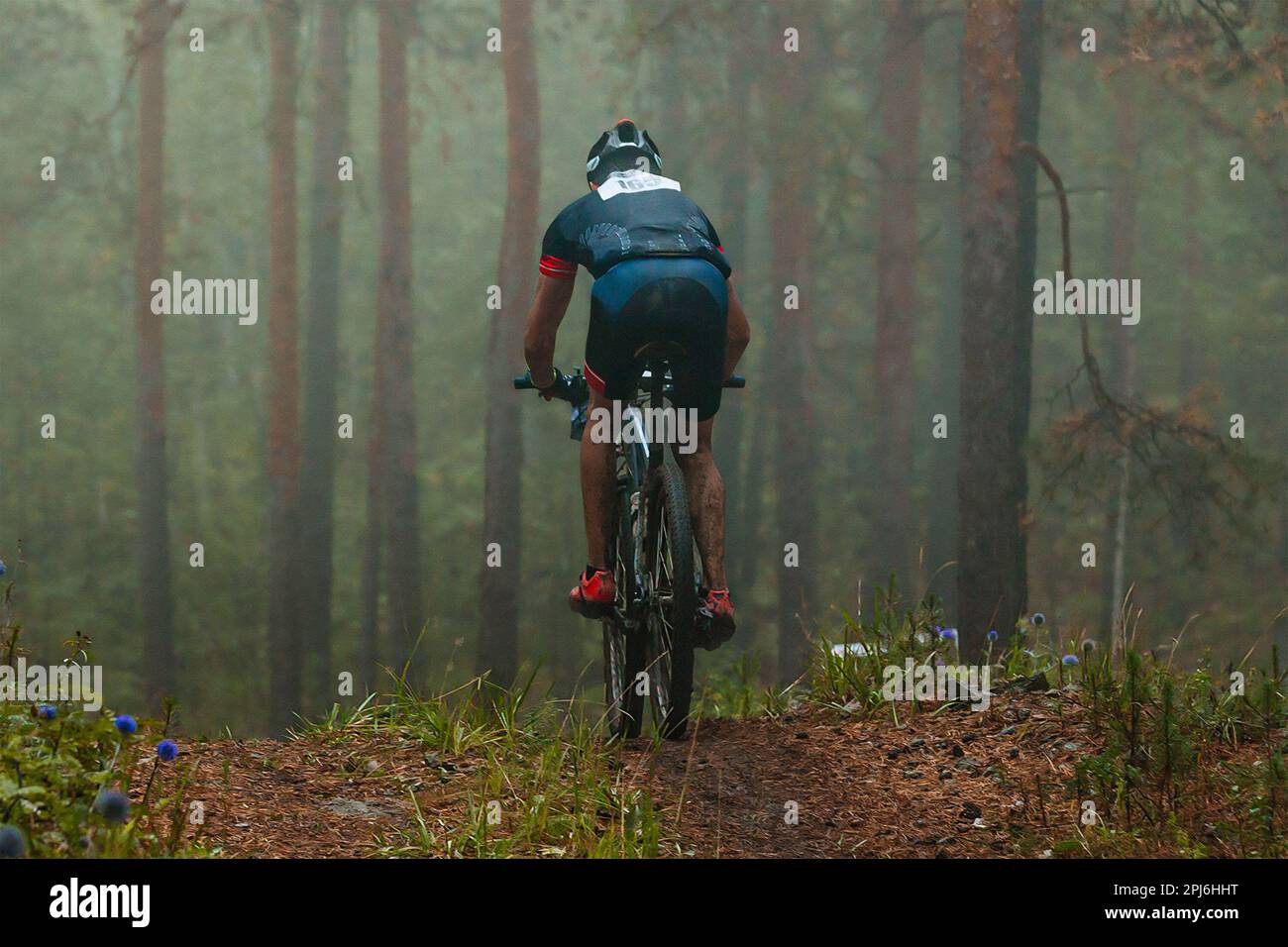 Rücken männlicher Radfahrer, Radfahren, Mountainbike-Rennen, geheimnisvoller nebeliger Wald Stockfoto