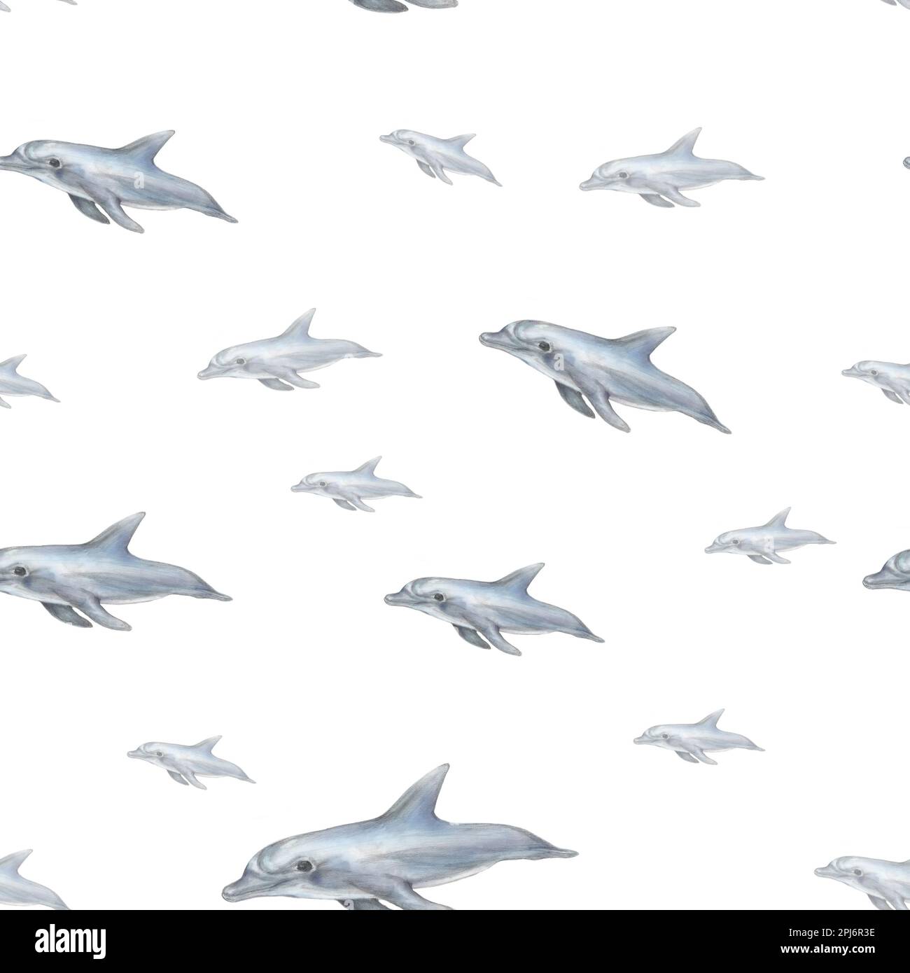 Handgezeichnete grafische Delfine. Fliegende Delfine, nahtloses Muster. Delfin auf weißem Hintergrund. Stockfoto
