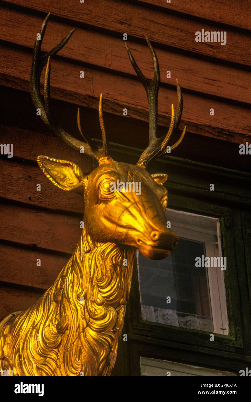 GOLDENE HIRSCHSKULPTUR AUF DEM HAUS HANSEATIC WHARF BRYGGEN BERGEN NORWEGEN Stockfoto