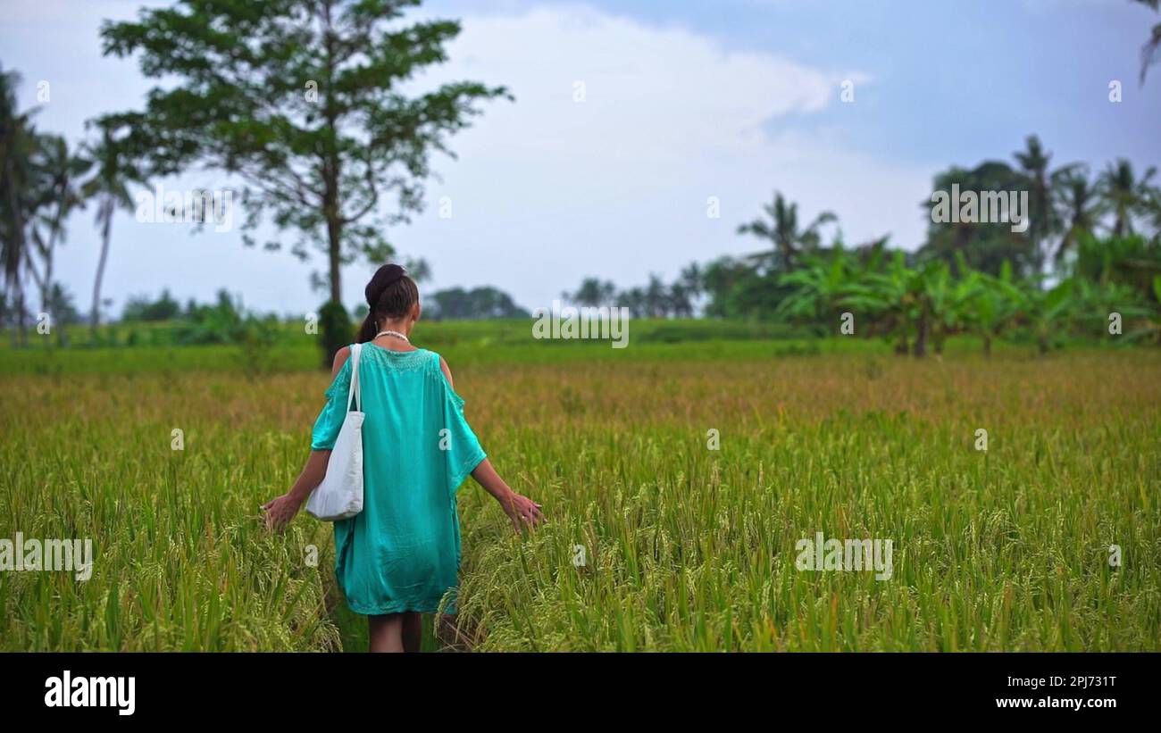 Bali, Lahan Dikontrakkan Munggu, eine Frau geht auf einem Reisfeldpfad. Stockfoto