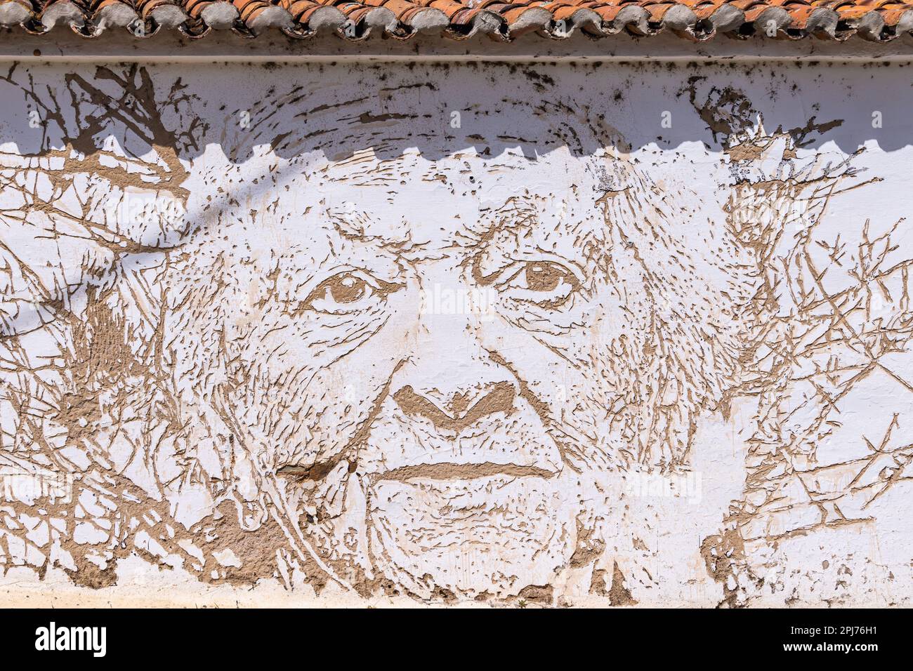 Europa, Portugal, Alandroal. 21. April 2022. Das Porträt wurde vom Künstler Alexandre Farto, bekannt als Vhils, in ein Stuckgebäude gehauen. Stockfoto