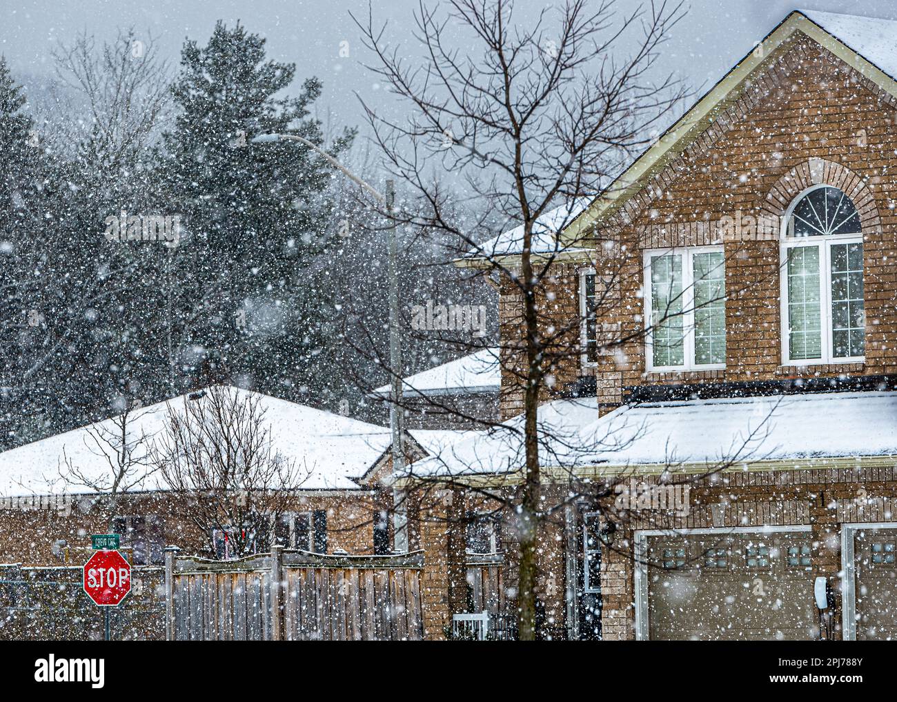 Winter, es schneit. Eine wunderbare Atmosphäre in der kanadischen Architektur von Einfamilienhäusern. Stockfoto