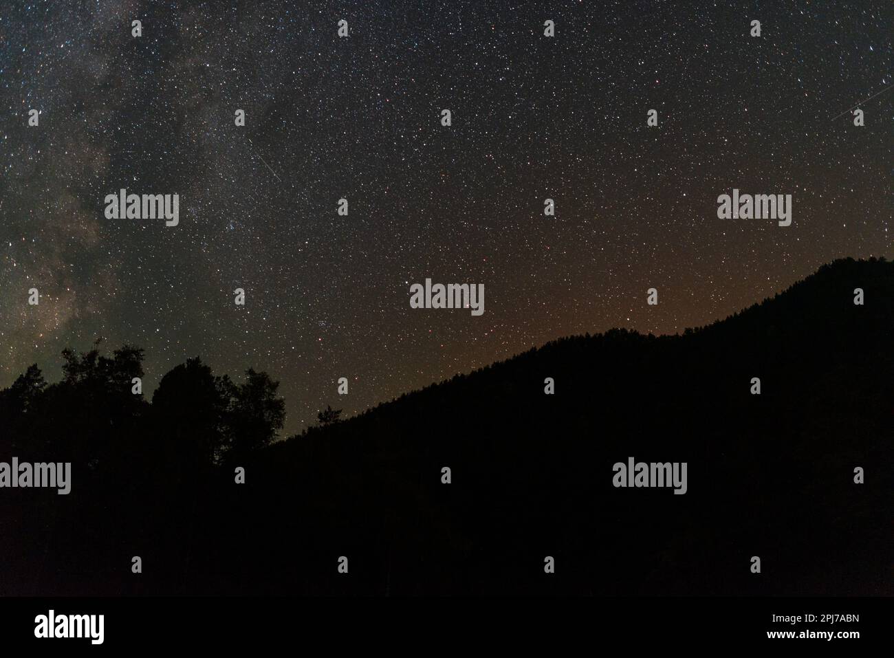 Die Milchstraße über dem Sternenhimmel über den Bäumen ist ein Berg mit Licht in der Dunkelheit des Waldes bei Nacht im Altai in Sibirien. Stockfoto