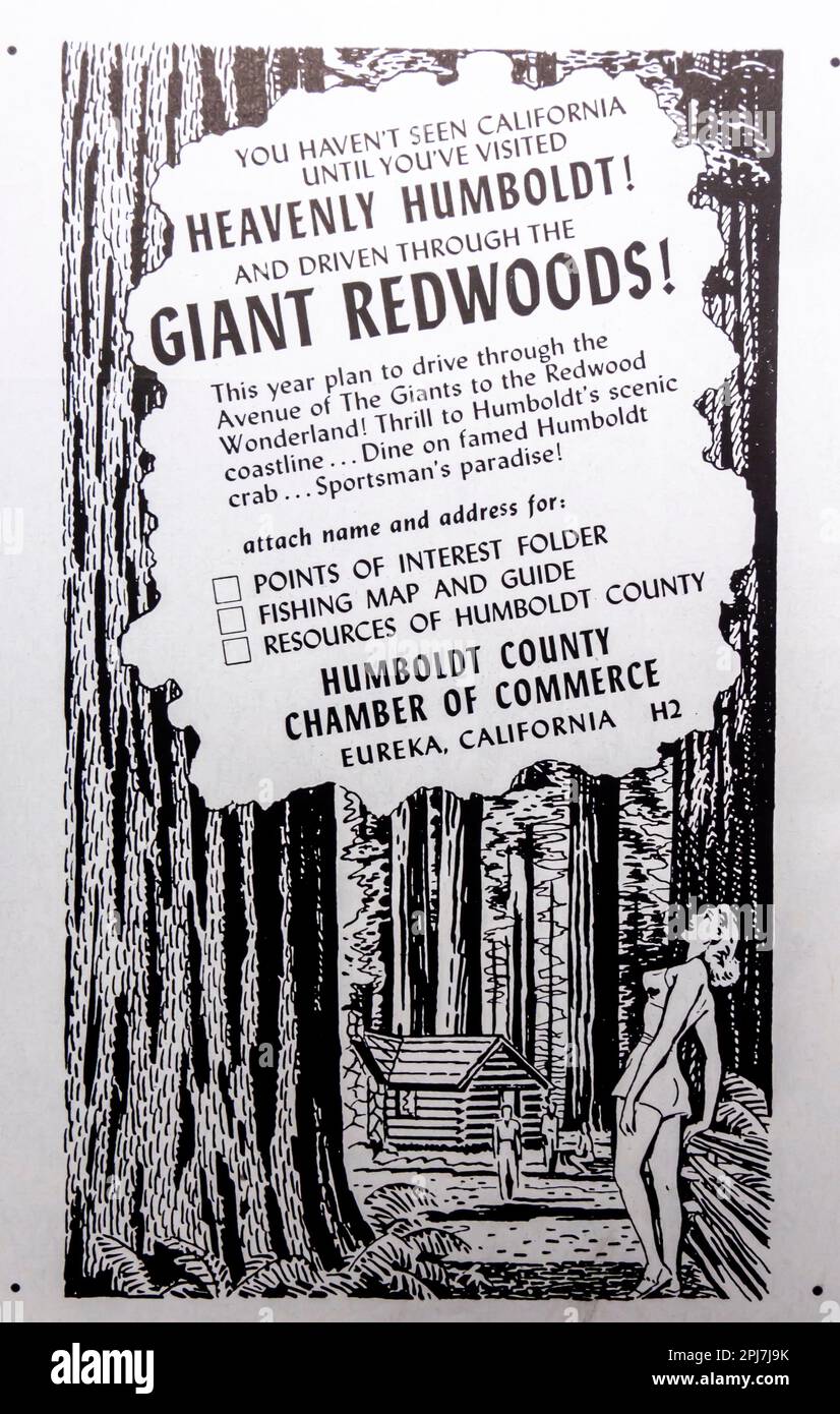 Humboldt County Redwoods California Reisewerbung in einer Zeitschrift NatGeo, Mai 1957 Stockfoto