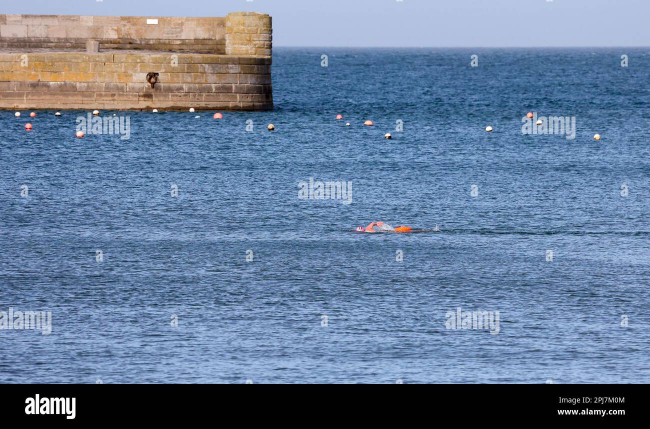 Schwimmer im offenen Wasser mit sichtbarer orangefarbener Schwimmboje im Küstenhafen schwimmen in Donaghadee an der Küste von County Down. Lifestyle-Erholung Stockfoto