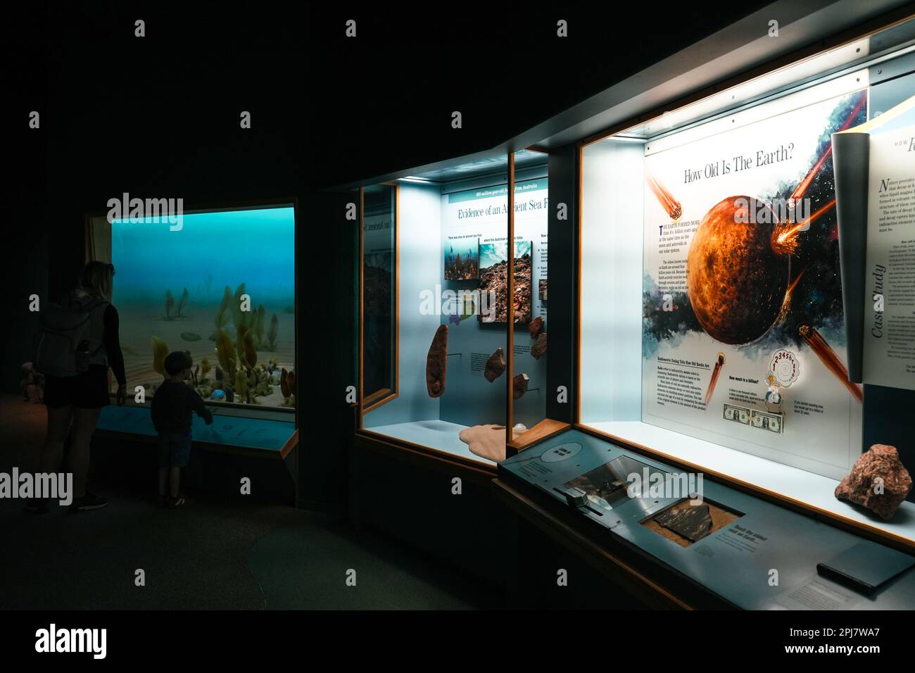 Denver, Colorado, USA - 3.22.2023: Denver Museum of Nature and Science, Ausstellung Prehistorical Journey Stockfoto