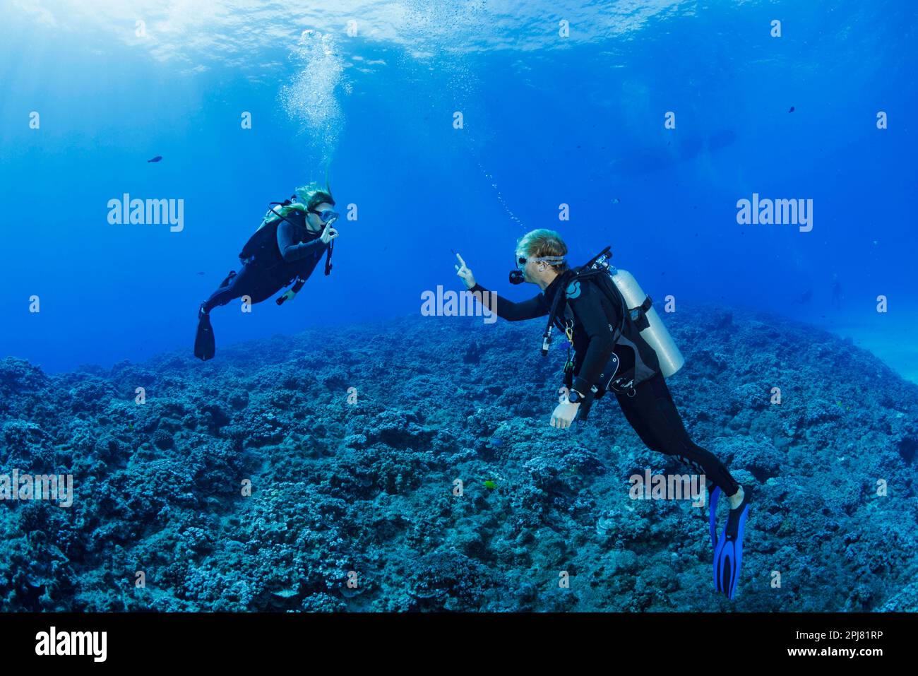Ein Tauchlehrer - Reiseleiter (MR) überprüft mit seinem Taucher über einem Riff auf Molokini Islet vor Maui, Hawaii. Stockfoto