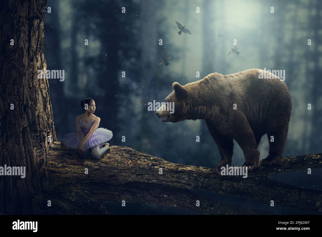 Märchen Fantasie Wald Begegnung zwischen einem Mädchen und einem freundlichen Bären auf einem Ast im Wald. Kinoeffekt in surrealer Traumumgebung Stockfoto