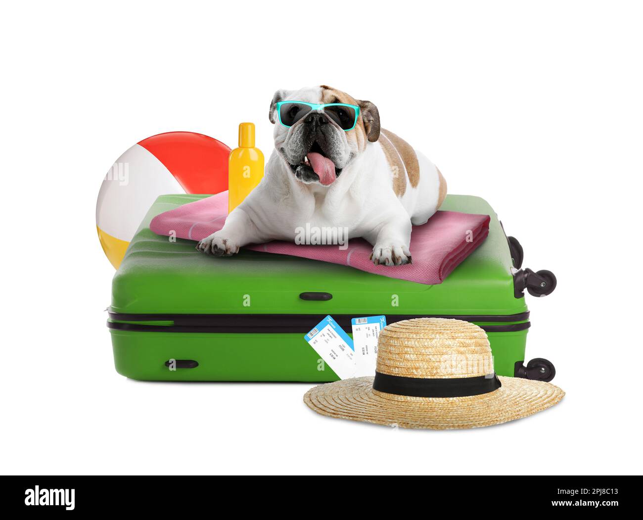 Süßer Hund, Koffer und Sommerferien auf weißem Hintergrund. Reisen mit Haustier Stockfoto