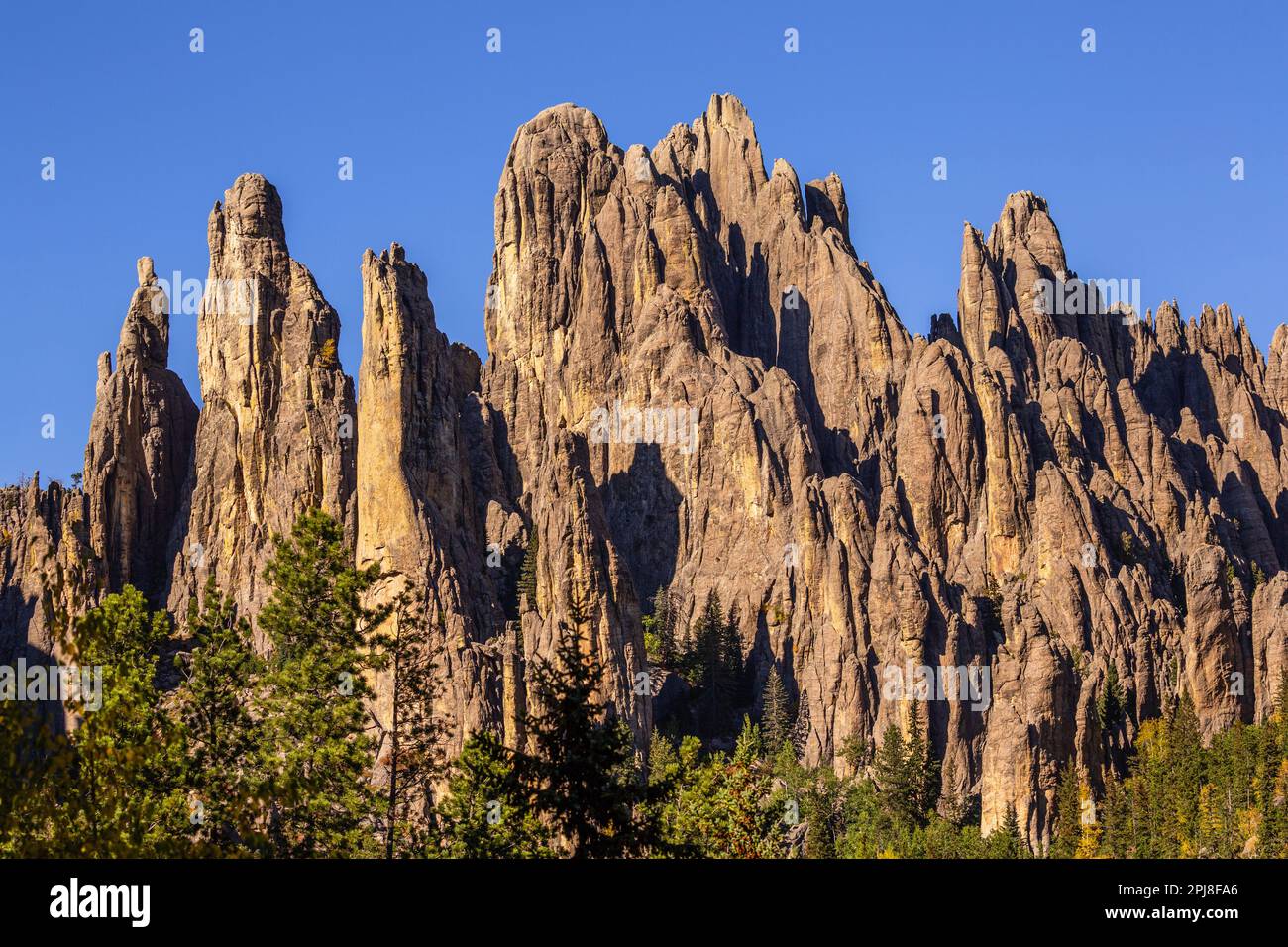 Cathedral Spires Trailhead im Custer State Park, Black Hills, South Dakota, Vereinigte Staaten von Amerika Stockfoto