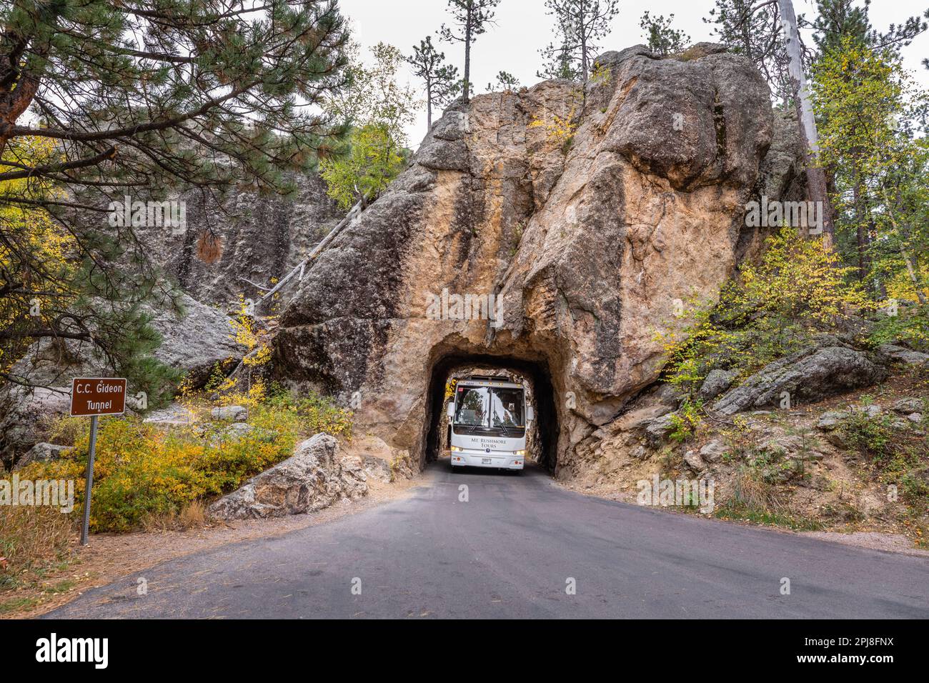 Doane Robinson Tunnel entlang der malerischen Iron Mountain Road zwischen Mount Rushmore und Custer State Park, South Dakota, Vereinigte Staaten von Amerika Stockfoto