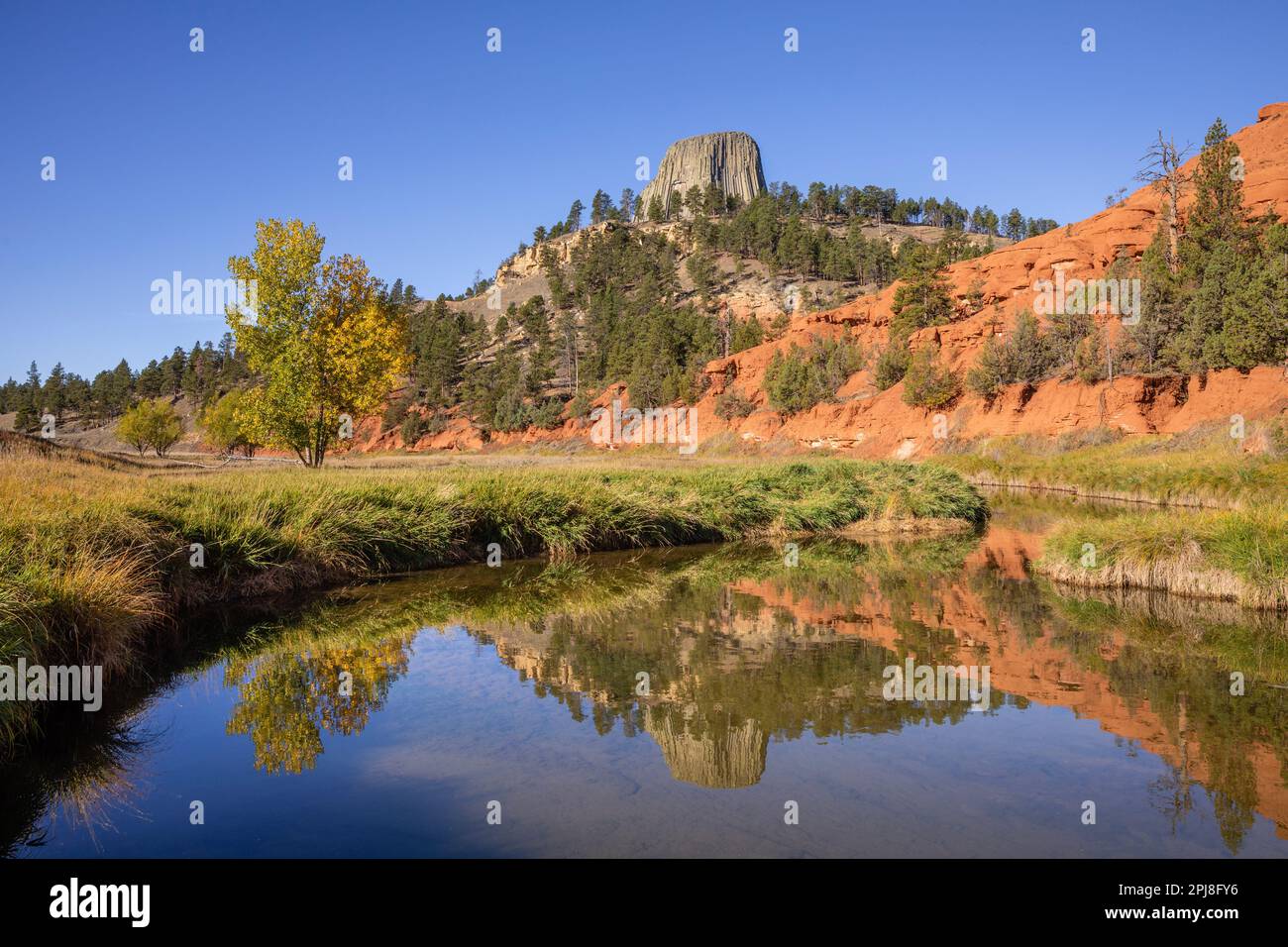 Das Devils Tower National Monument (Bear Lodge) im Belle Fourche River, Wyoming, Vereinigte Staaten von Amerika Stockfoto