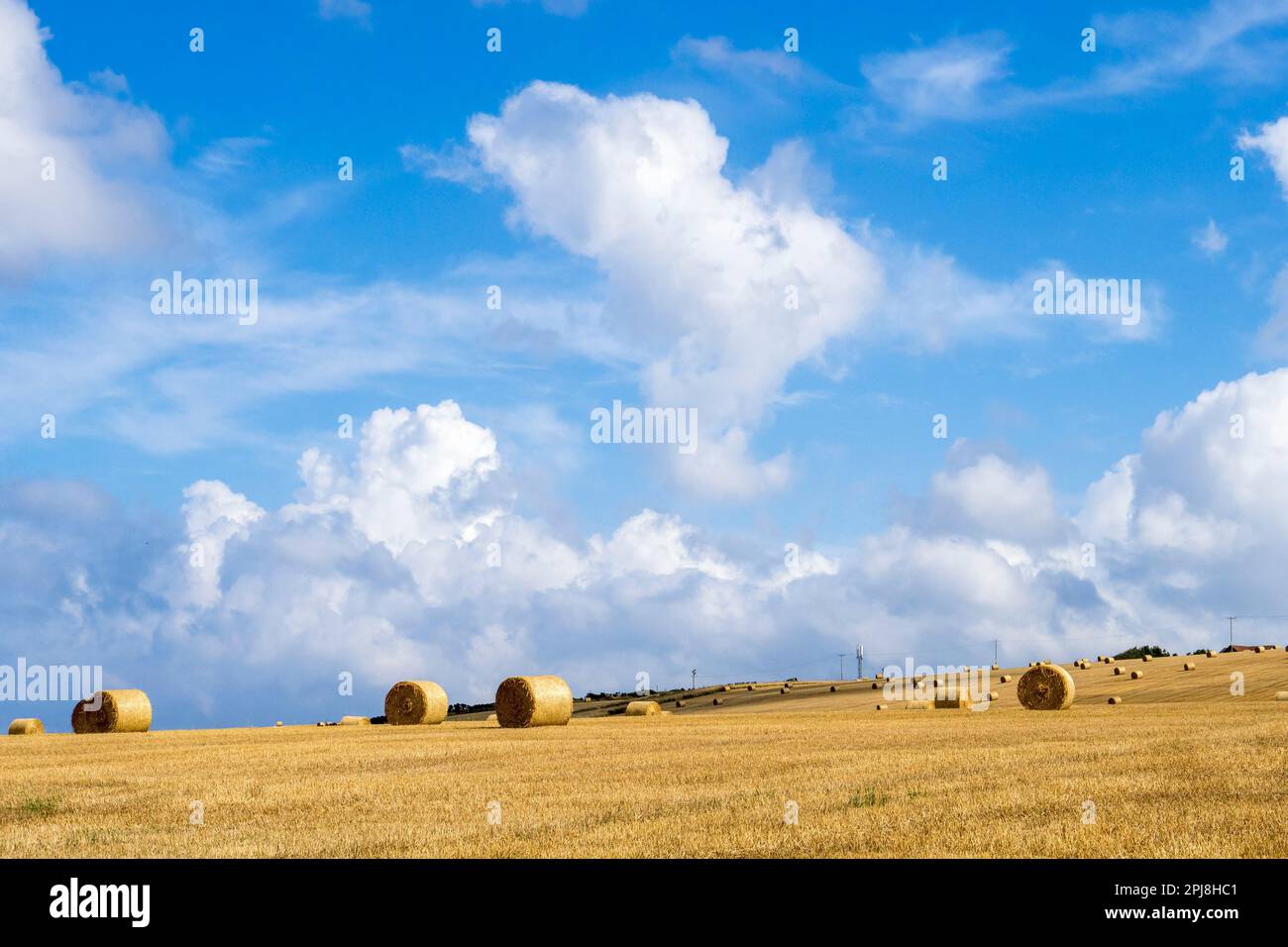 Haybales erwarten Abholung auf einem Feld in der Nähe von Portsoy, Aberdeenshire, Schottland. Stockfoto