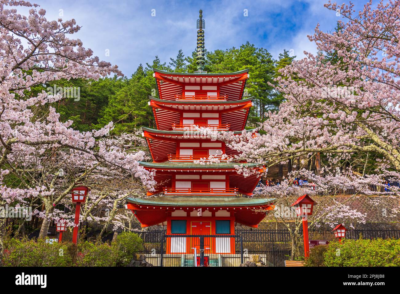 Fujiyoshida, Japan in der Chureito Pagode in Arakurayama Sengen Park im Frühling kirschblüten Saison. Stockfoto