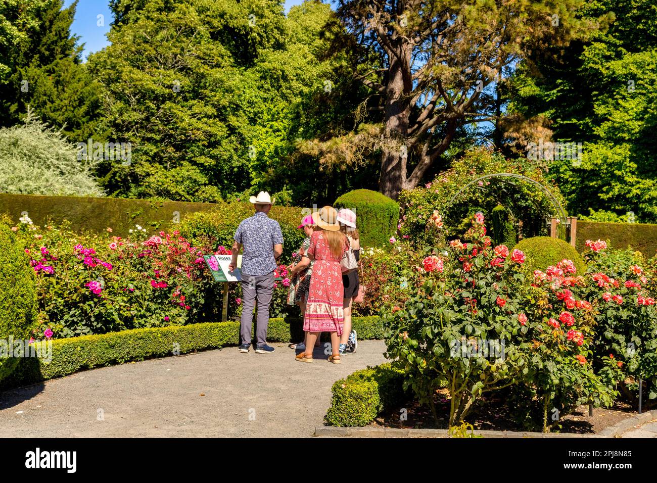 29. Dezember 2022: Christchurch, Neuseeland - Eine Familie von Touristen, die Hüte tragen und auf ein Schild im Rosengarten, Chritchurch Botanic Gardens, schauen Stockfoto
