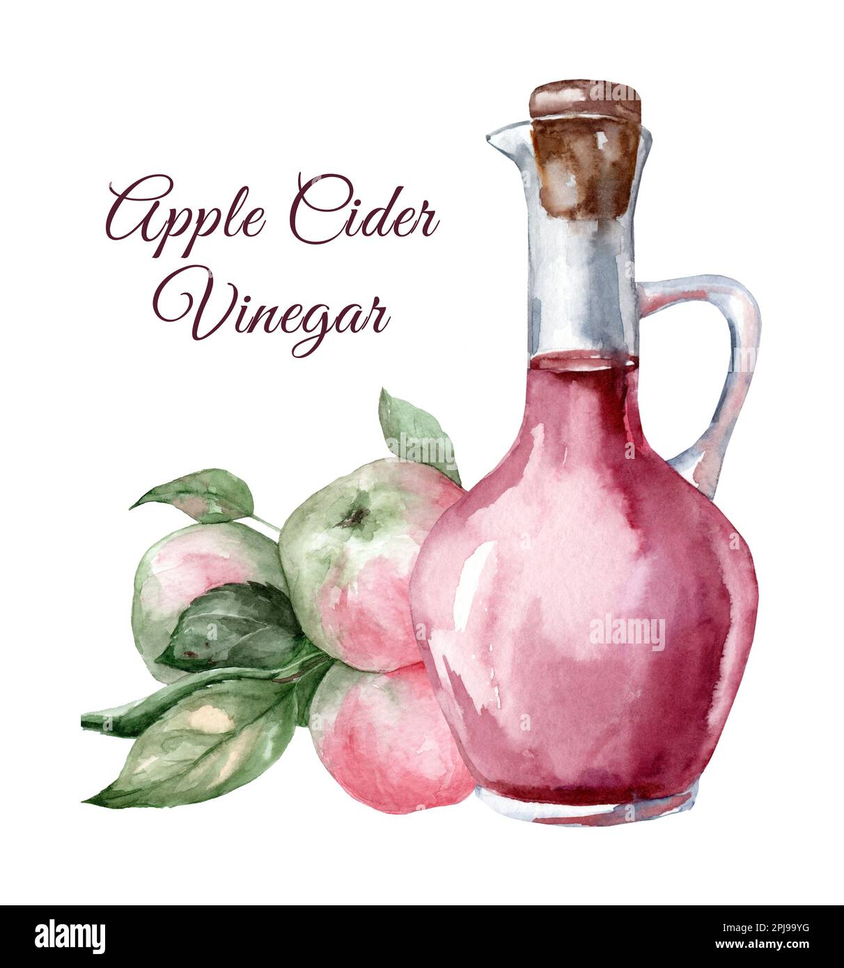 Glas Apfelwein-Essig. Handgezeichnete Aquarell-Darstellung isoliert auf weißem Hintergrund. Stockfoto