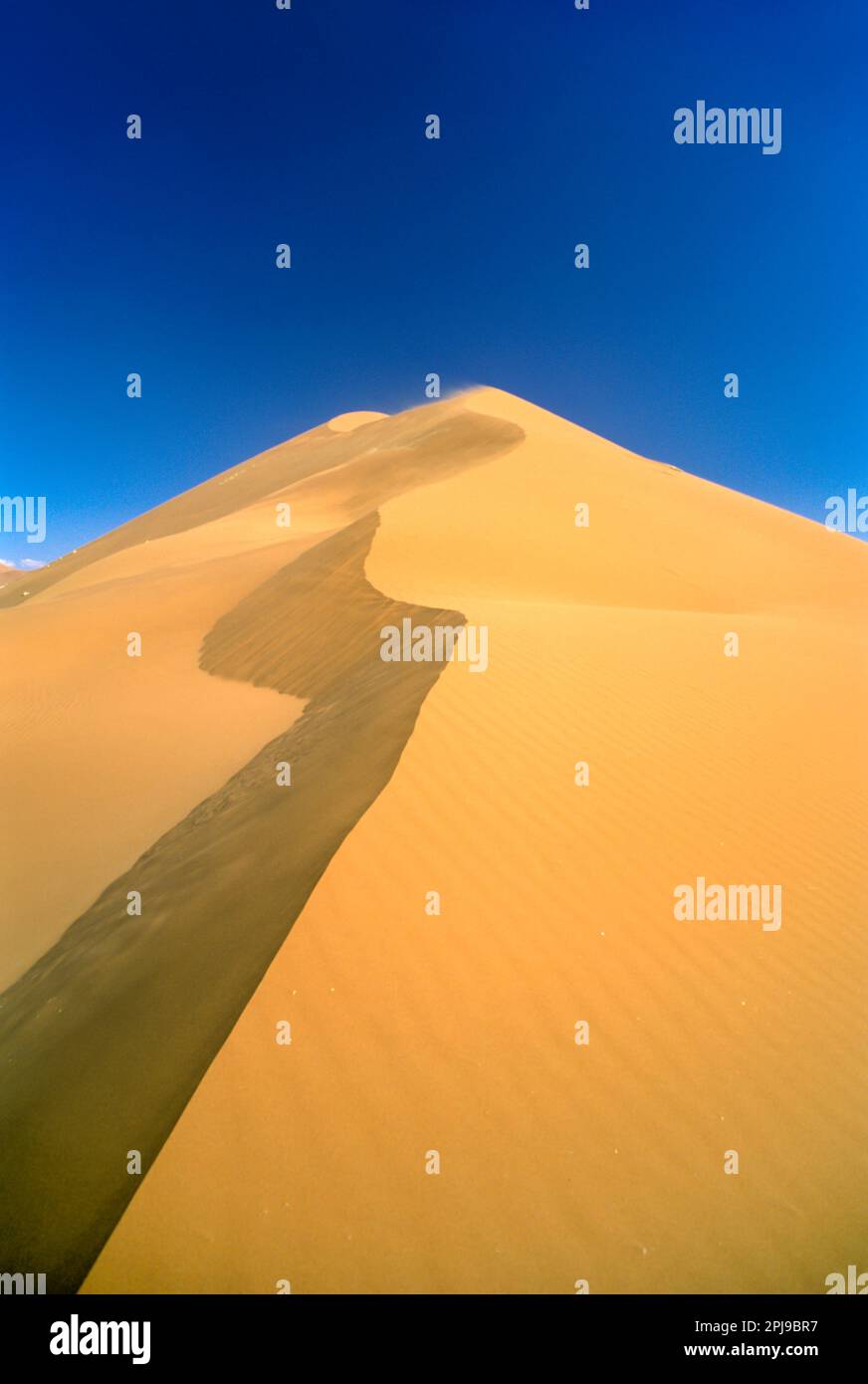 GIANT WÜSTE SAND DÜNE SOSSUSVLEI NAMIB NAUKLUFT WÜSTE PARK ERONGO NAMIBIA Stockfoto