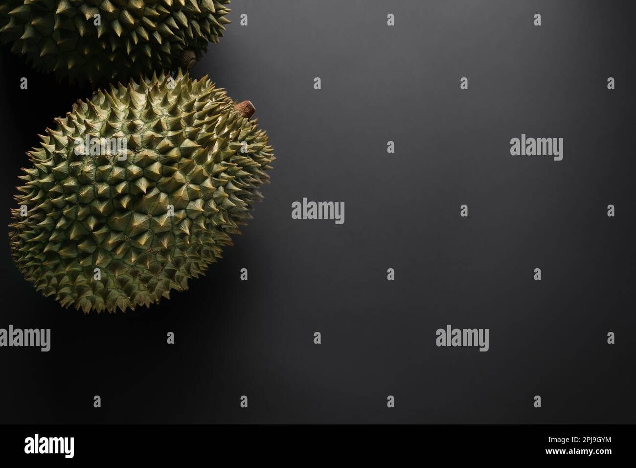 Frische, reife Durian auf schwarzem Hintergrund, flach liegend. Platz für Text Stockfoto