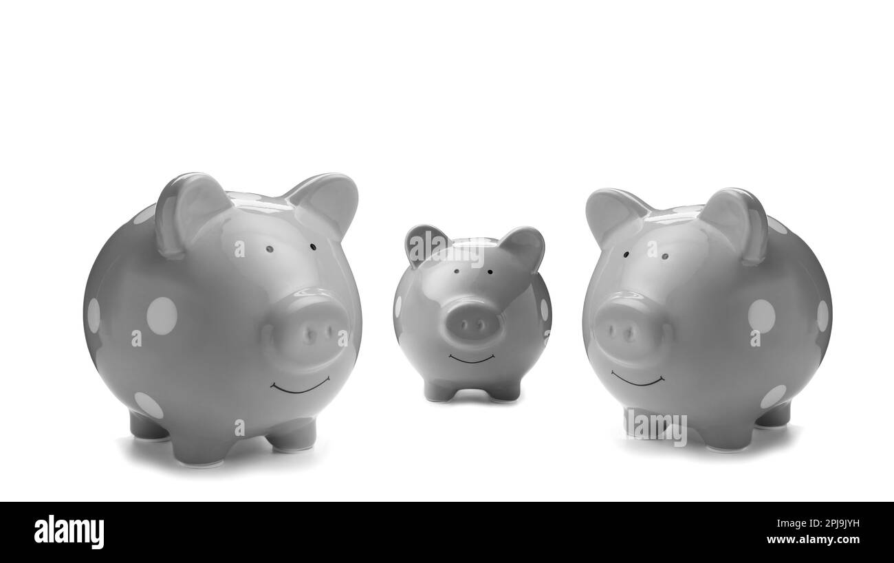 Graue Keramikschweinchen auf weißem Hintergrund Stockfoto