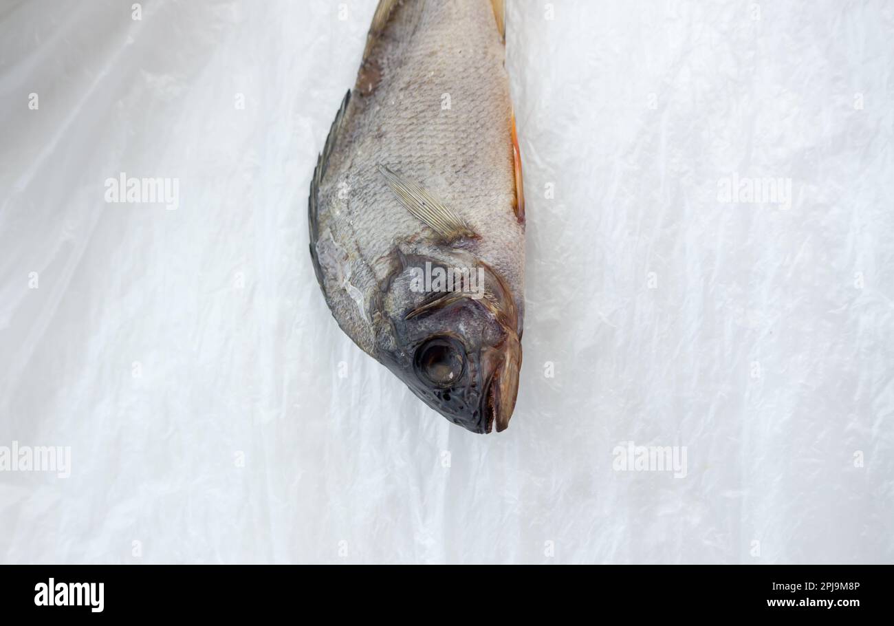 Der getrocknete Fisch auf Zellophan-Hintergrund. Stockfoto