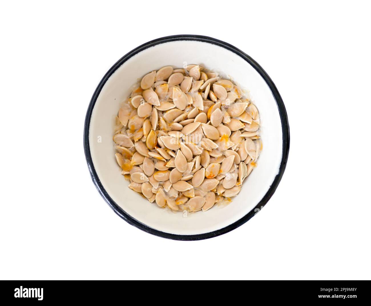 Sonnenblume Hintergrund. Stockfoto