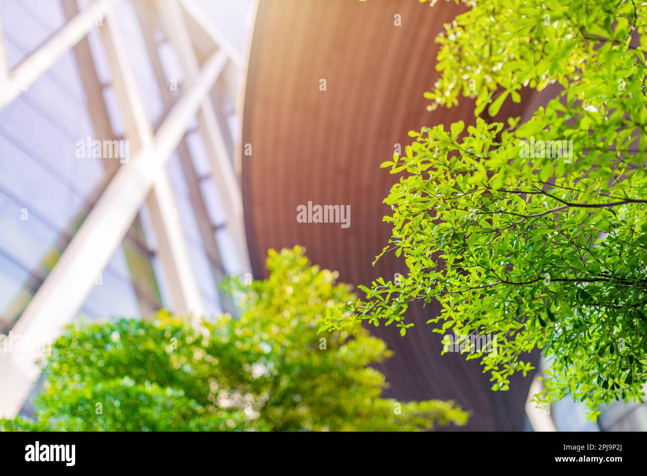 Grüne Stadt gute Umwelt Baumpark um modernes Bürogebäude für frische Ozonluft mit geringem Kohlenstoffgehalt. Stockfoto