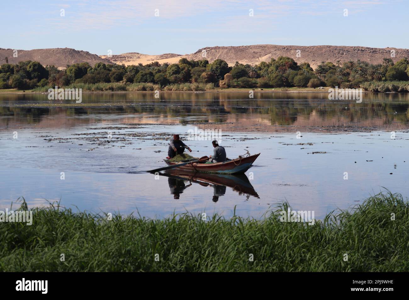 Wunderschöne Natur am Nil in Assuan, Ägypten Stockfoto