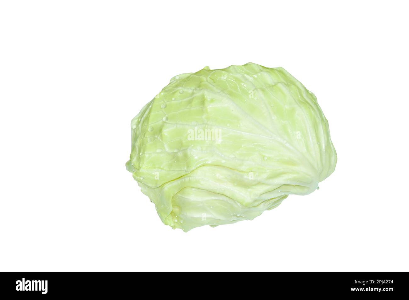 Frischer Kohlgemüsesalat mit Wassertropfen auf weißem Hintergrund Stockfoto
