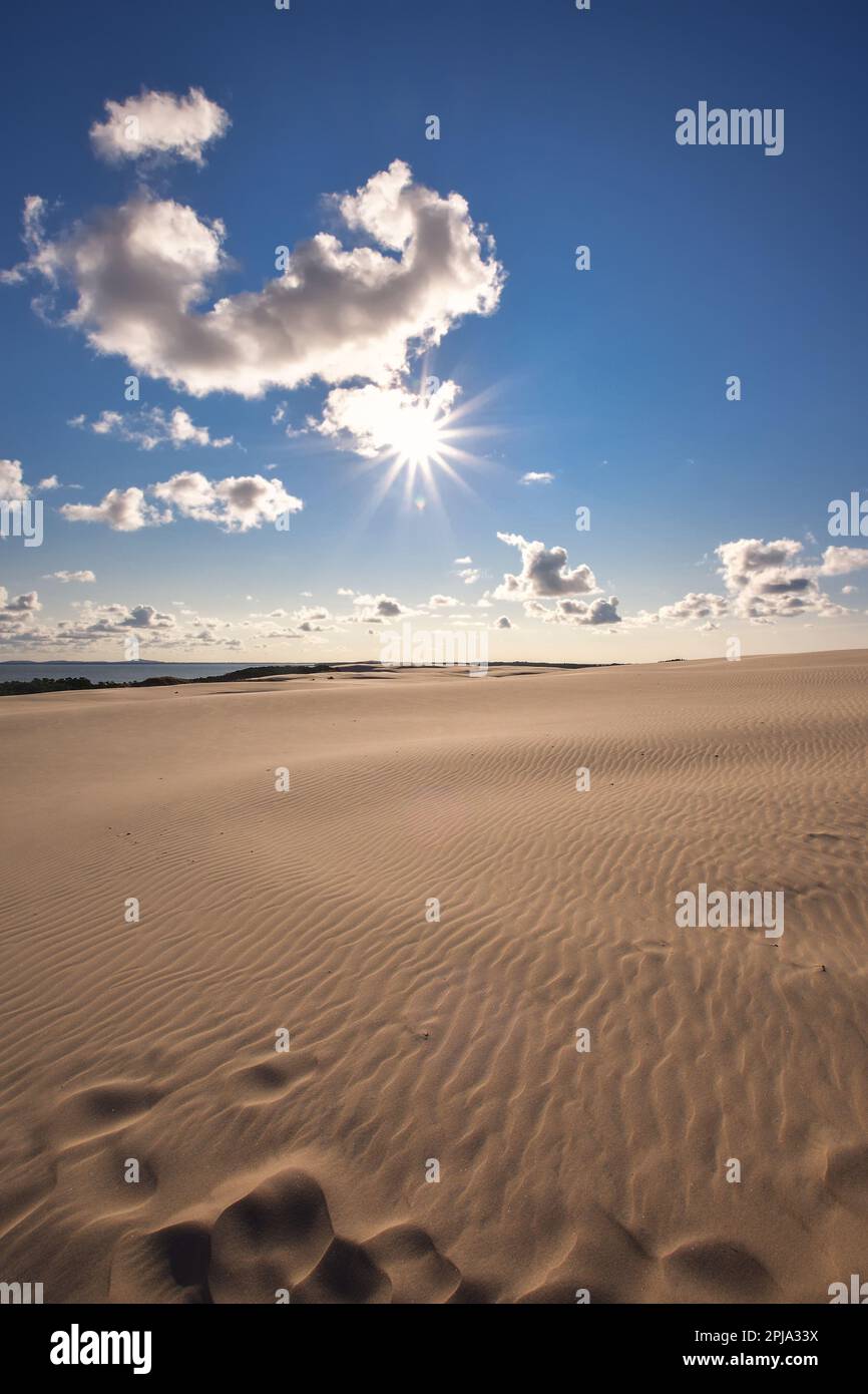 Wunderschöne Urlaubslandschaft am Meer. Bewegliche Dünen in der Wüste im Slowinski-Nationalpark in Leba, Polen. Stockfoto