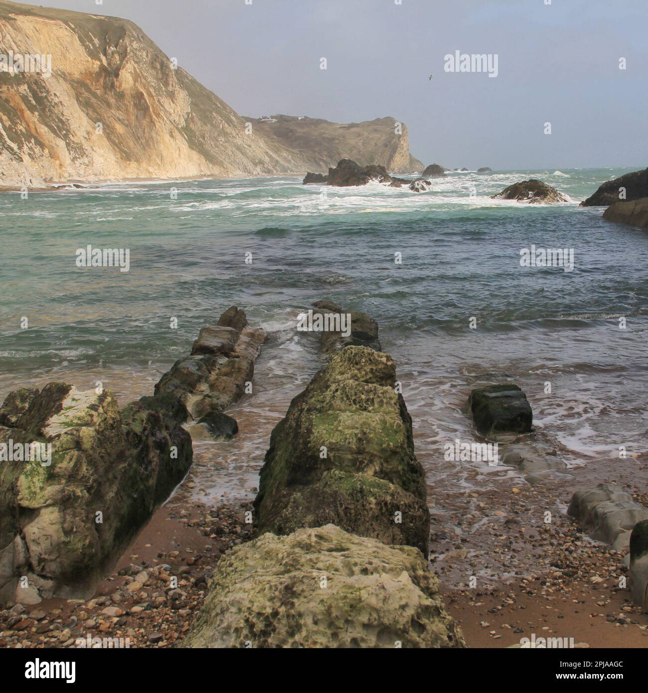Man o war Bay, Lulworth, Dorset Stockfoto