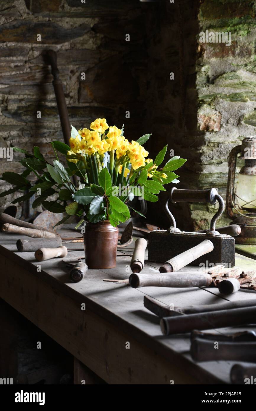 Eine Auswahl an alten Gartenwerkzeugen rund um eine alte Glasvase aus Narzissen im Werkzeugschuppen der Lost Gardens of Heligan bei Mevagissey Stockfoto
