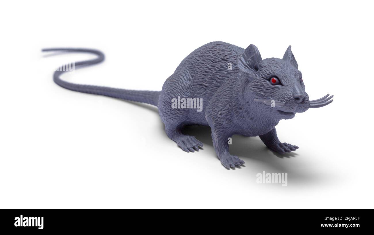 Grey Rat Toy ist auf White ausgeschnitten. Stockfoto