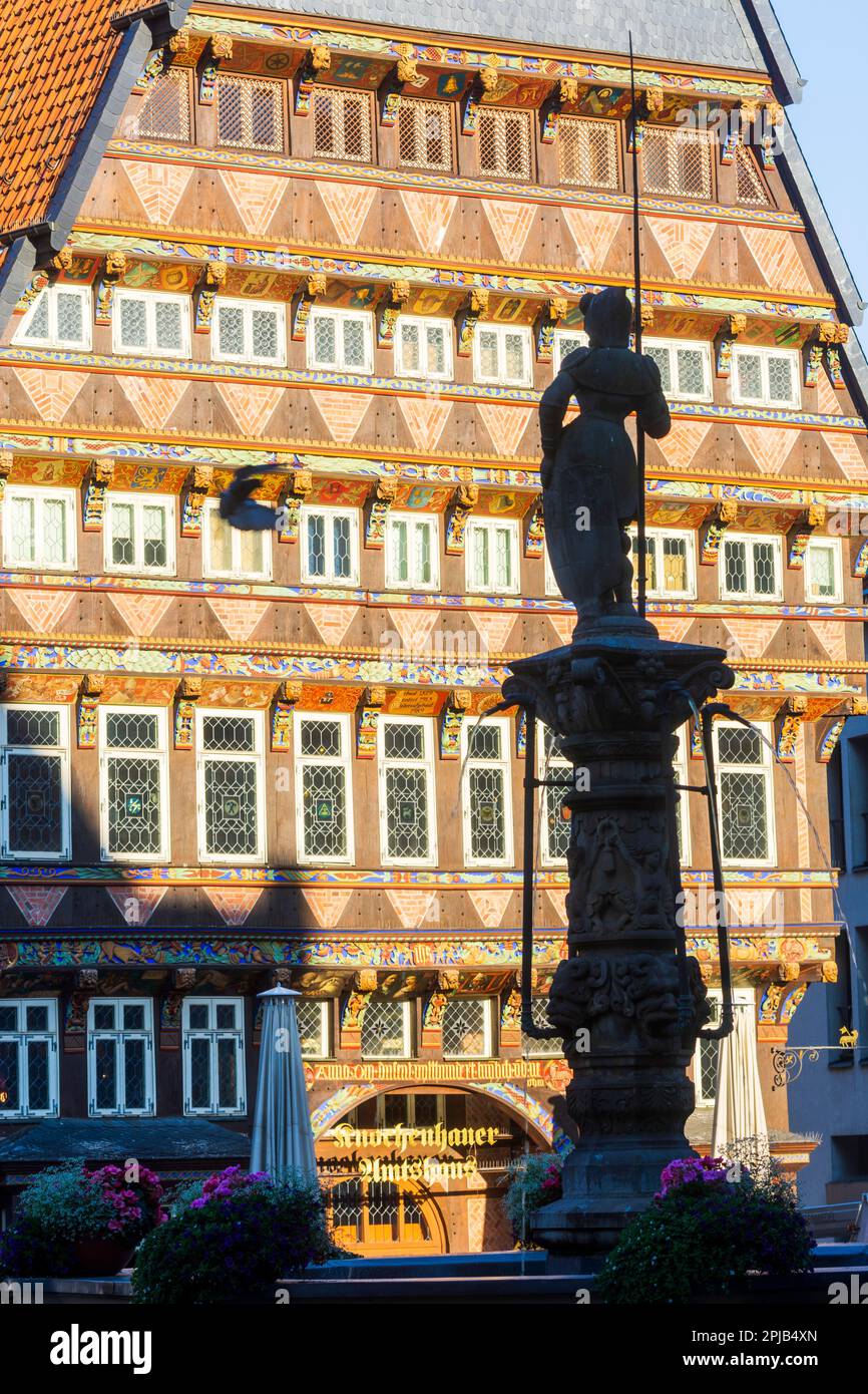 Hildesheim: Marktplatz, Haus Knochenhaueramtshaus, Brunnen Rolandbrunnen, Fachwerkhaus, Altstadt, fliegende Taube in R. Stockfoto