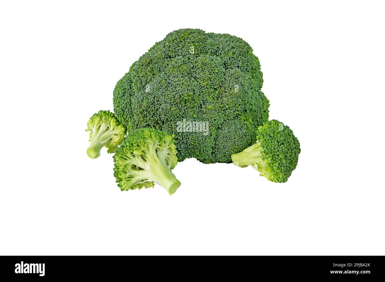 Brokkoli-Kohlblütenkopf und separate, auf weiß isolierte Blüten. Brassica oleracea var. italica-Gemüse. Essbare grüne Pflanze Stockfoto