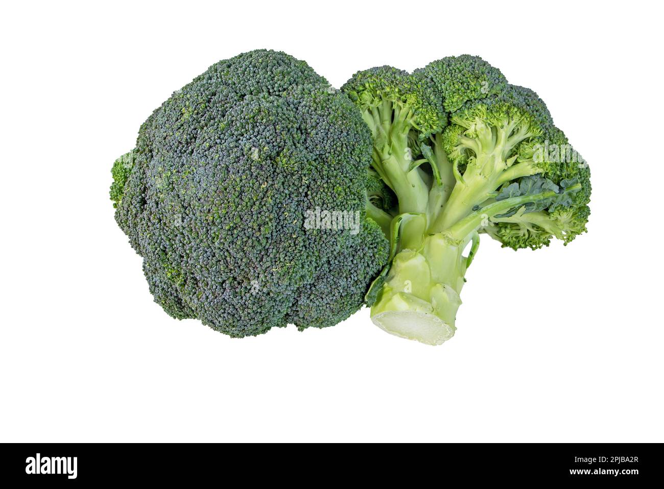 Brokkoliköpfe, isoliert auf weißem Boden. Brassica oleracea var. italica-Gemüse. Calabrese-Kohl Stockfoto