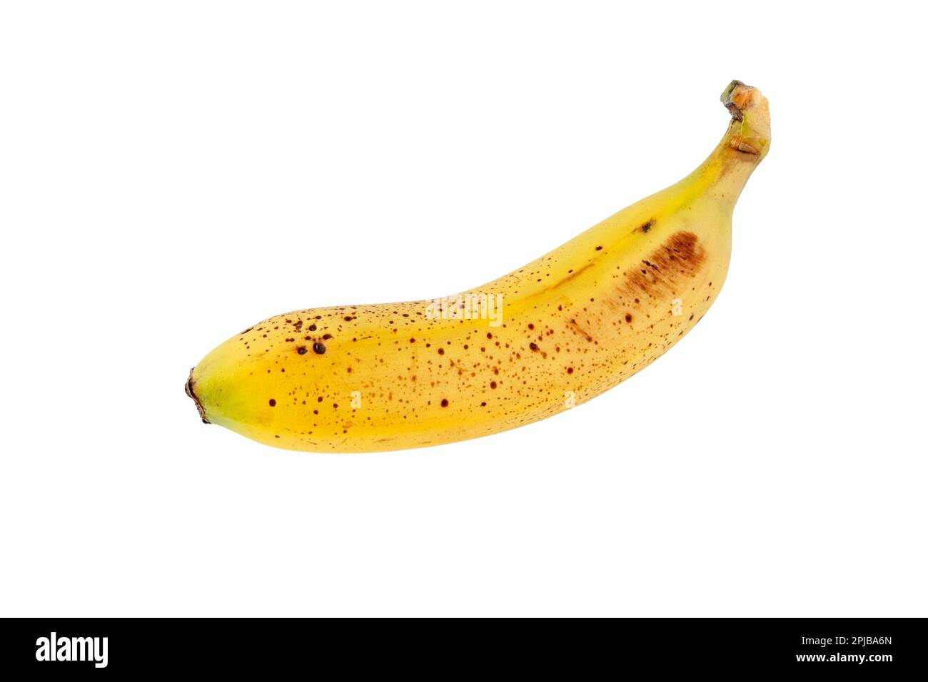 Orphan-Banane mit auf weiß isolierten Zuckerflecken. Reife, gelb gefleckte Früchte. Cavendische Sorte von Musa acuminata. Stockfoto