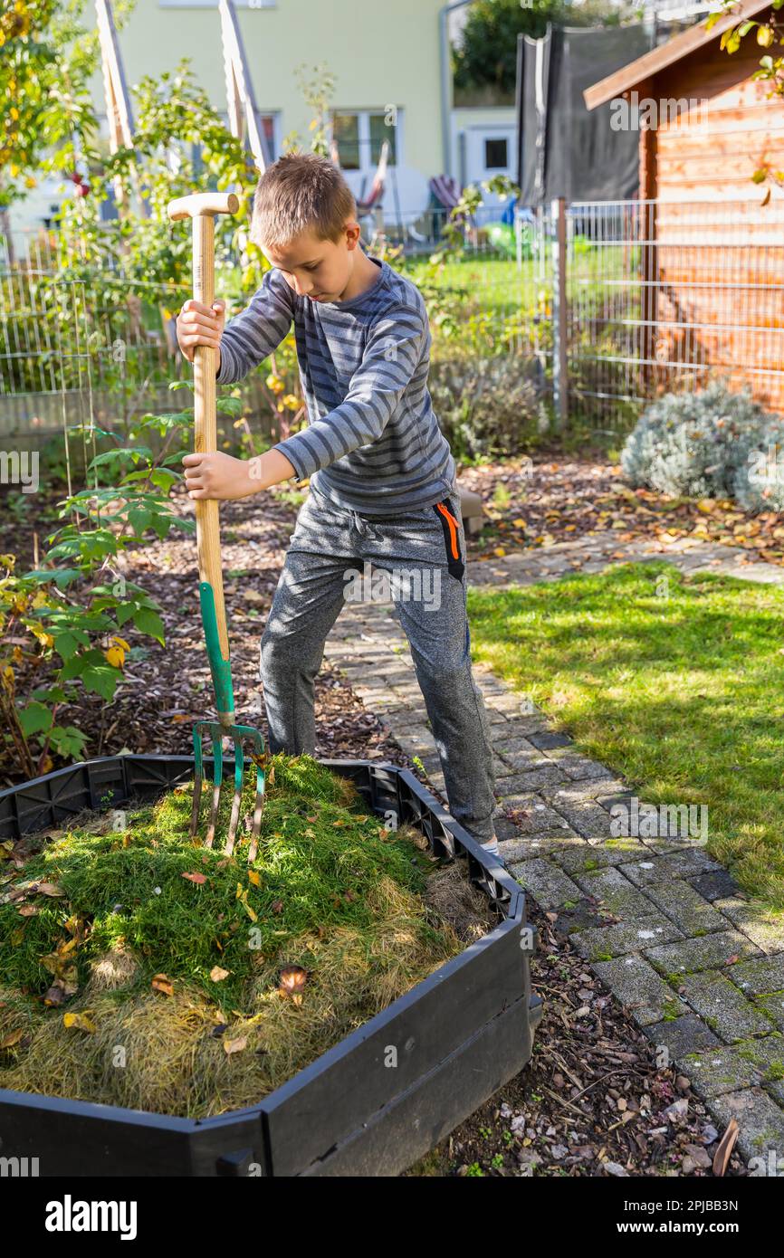 Kind hilft im Garten - Hinzufügen von Rasenschnitt in Kompostierbehälter Stockfoto