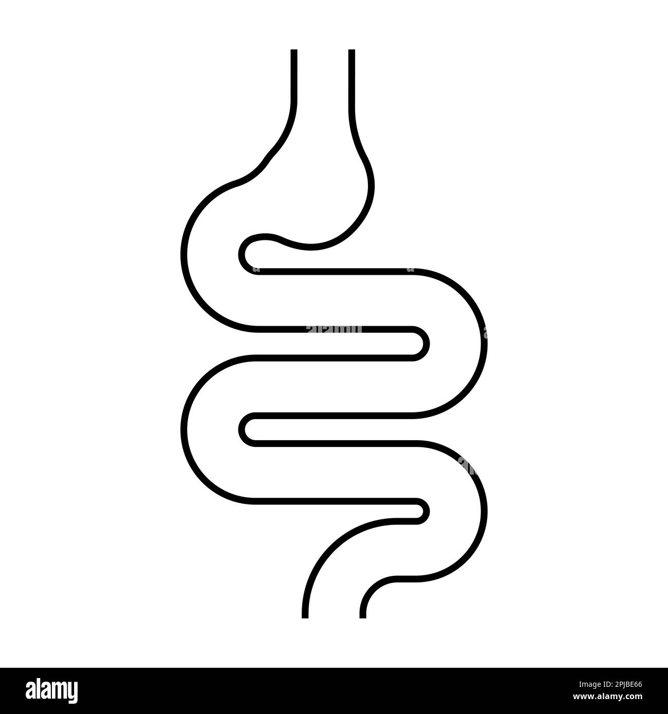 Darm einfaches Symbolvektor-Illustration Symboldesign Stockfoto