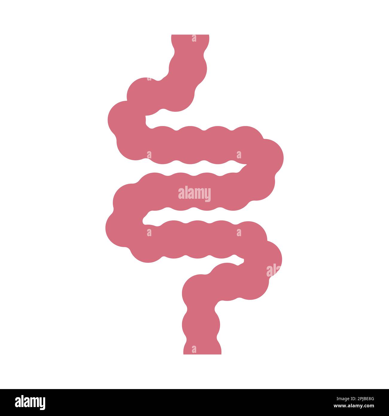 Darm einfaches Symbolvektor-Illustration Symboldesign Stockfoto