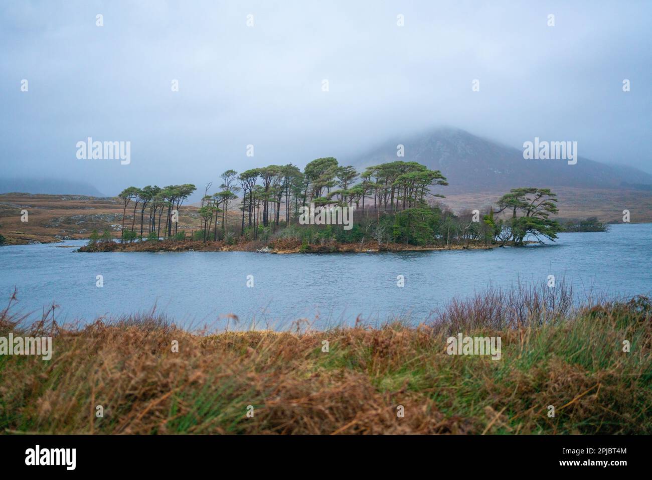 Derryclare See, Connemara, Irland Stockfoto
