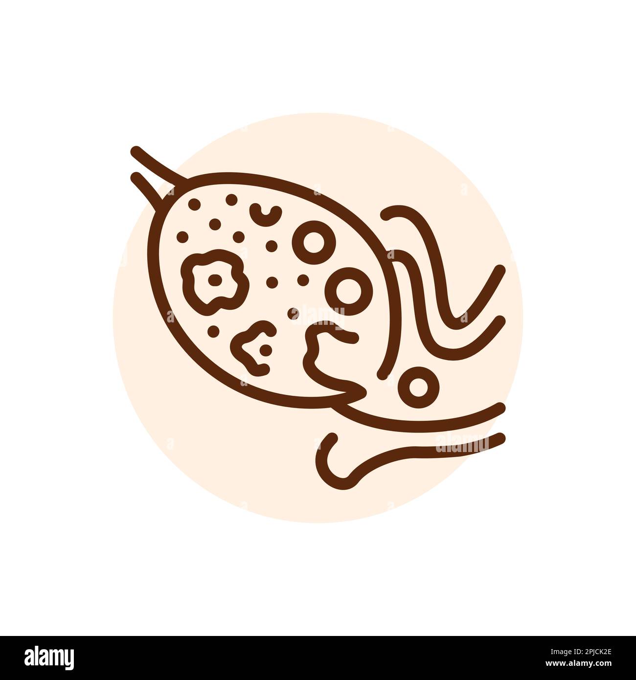 Schwarzes Liniensymbol für Ovulation. Düngung. Piktogramm für Webseite Stock Vektor