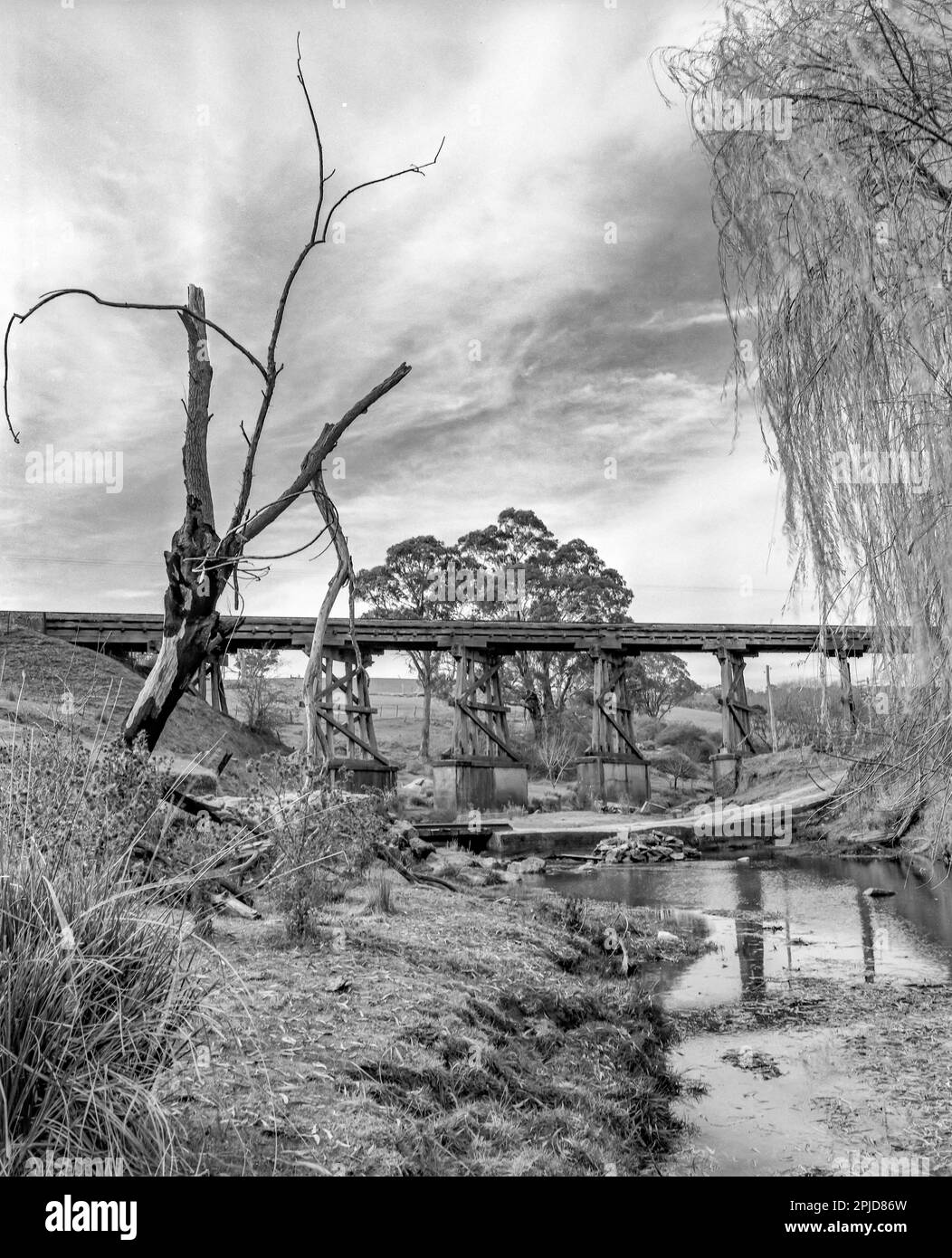 Ein 1980 Schwarzweißfoto im mittleren Format von Wallaby Rocks Bridge über dem Turon River in der Nähe von Sofala im Zentralwesten von New South Wales, Australien. Die als Kulturerbe eingestufte Holztrassenbrücke existiert noch, wurde aber aus Sicherheitsgründen modernisiert Stockfoto