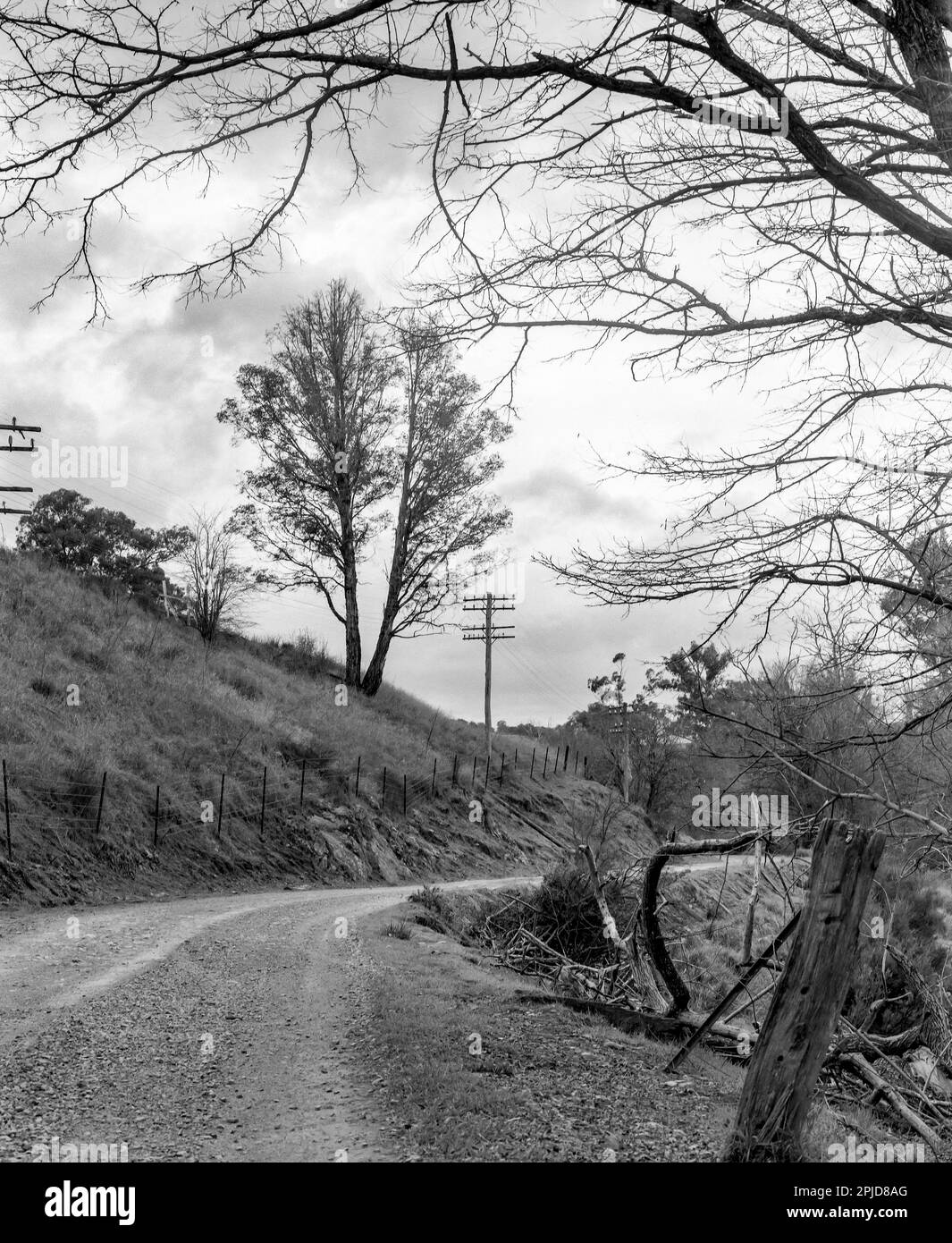 Ein 1980 Schwarzweißfoto im mittleren Format von einer Schotterstraße und alten Zaunpfählen in der Nähe von Sofala in Central Western New South Wales, Australien Stockfoto