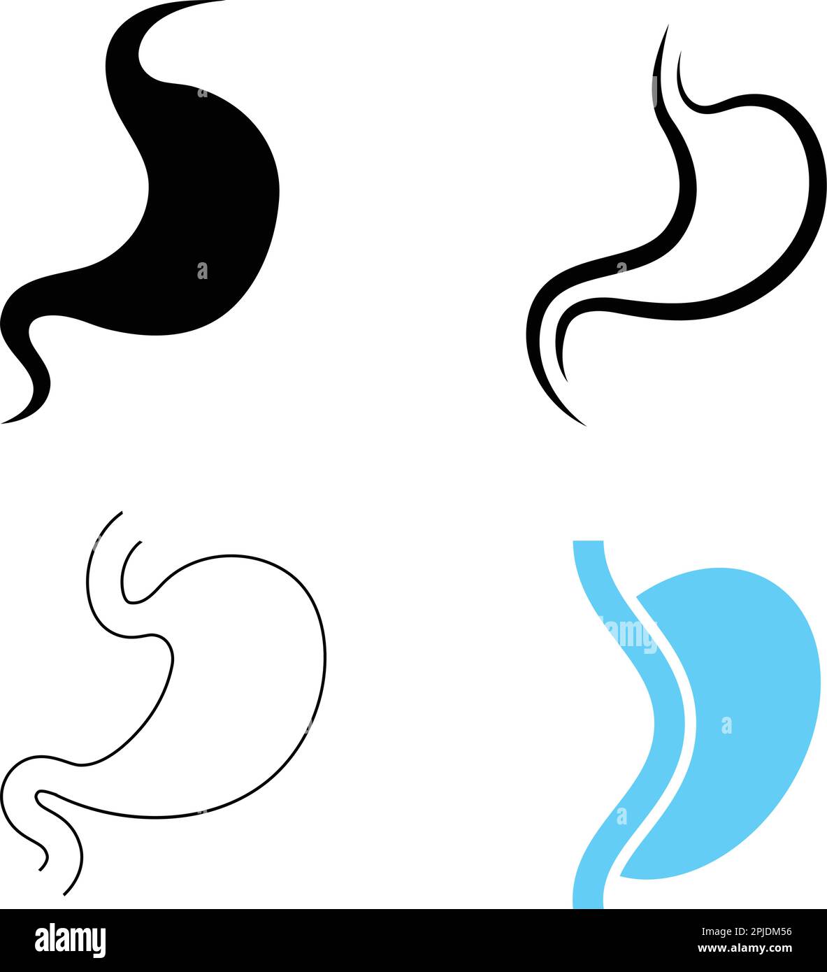 Bauch Logo Vektor Illustration Design Stock Vektor