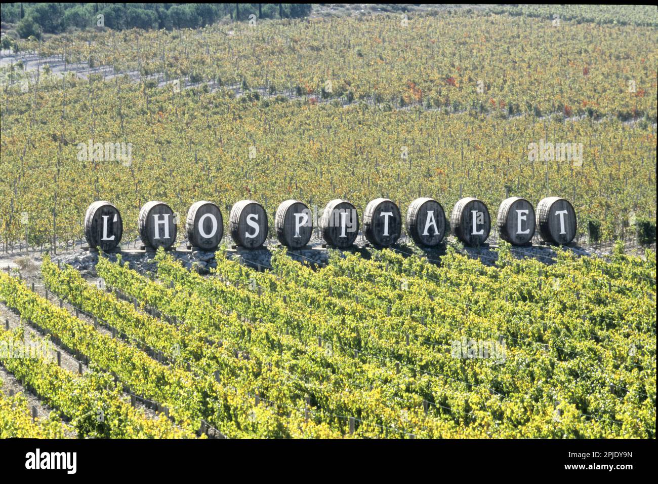 Die Domaine de l'Hospitalet, ein biodynamischer Weinberg. Narbonne, Occitanie, Frankreich Stockfoto